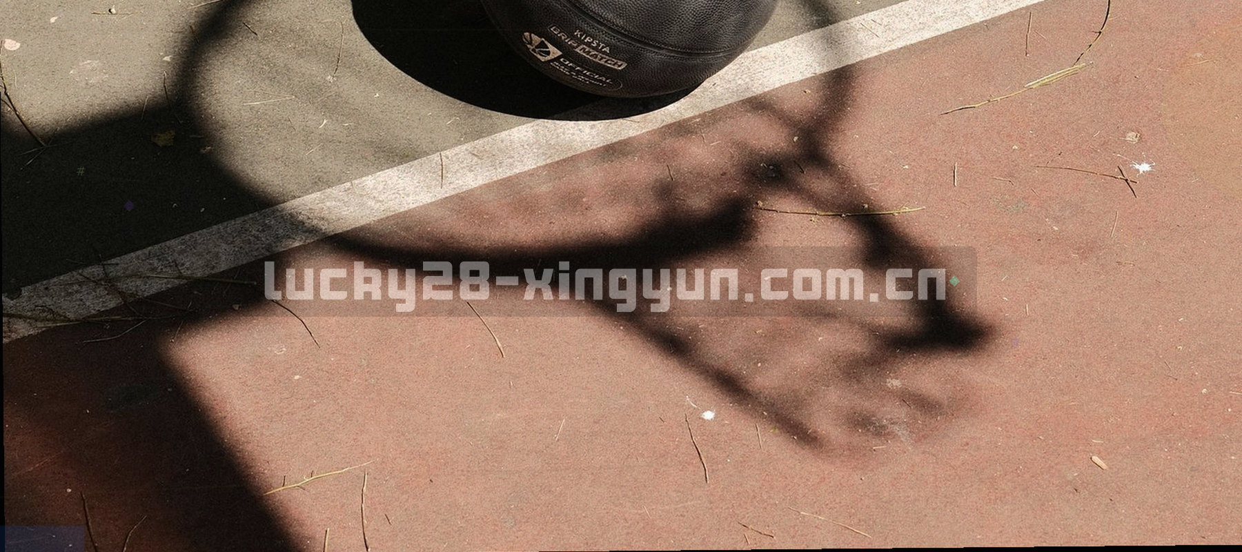 云南茶山行间沿等高线向远处延展的远景线条